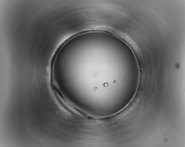 X0000102541079200808151637