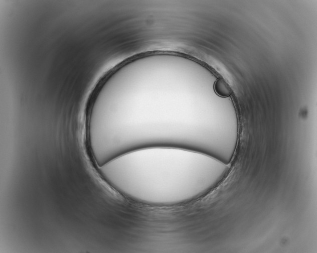 X0000102541080200808151637