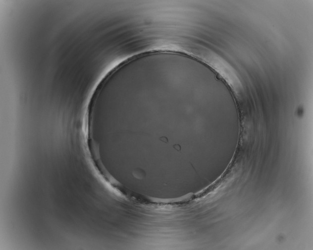 X0000102541084200808151637