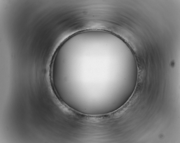 X0000102541086200808151637