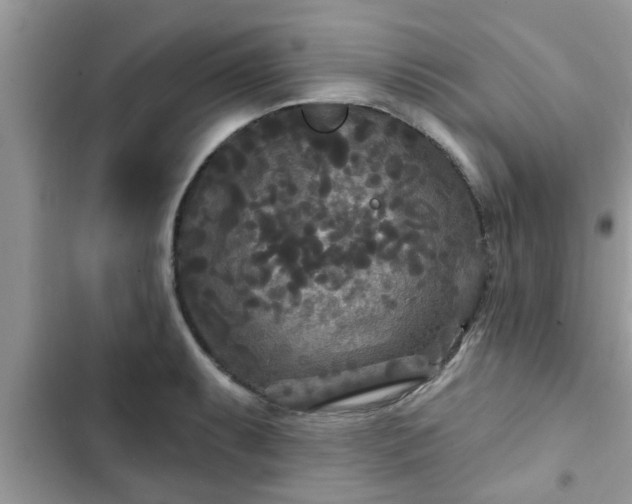 X0000102541087200808151637