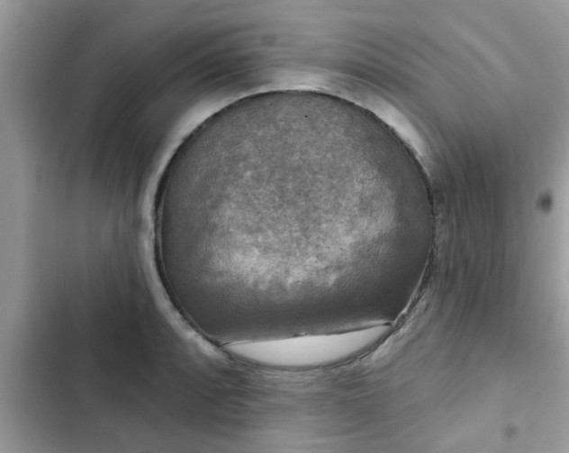 X0000102541088200808151637