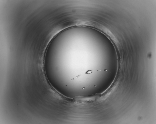 X0000102541089200808151637