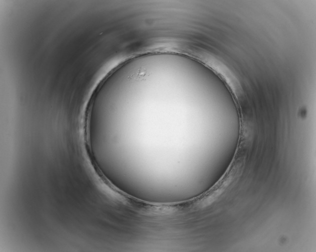 X0000102541090200808151637