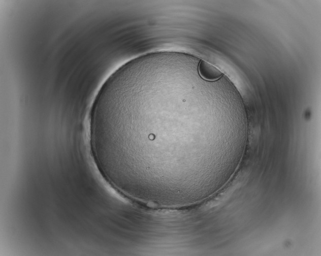 X0000102541092200808151637
