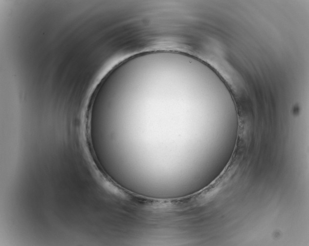 X0000102541094200808151637