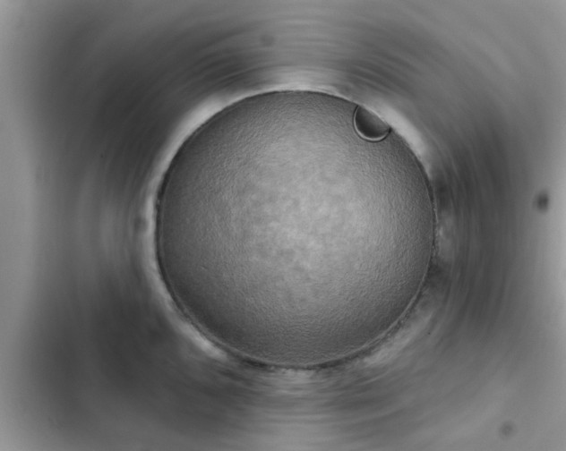 X0000102541096200808151637