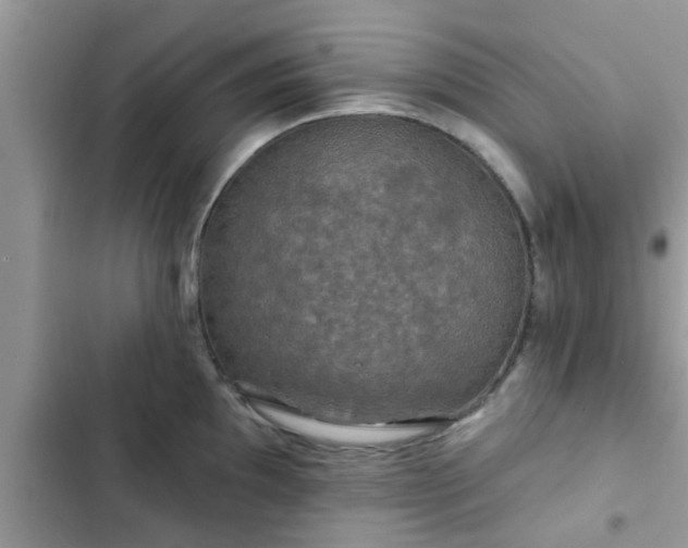 X0000102541097200808151637