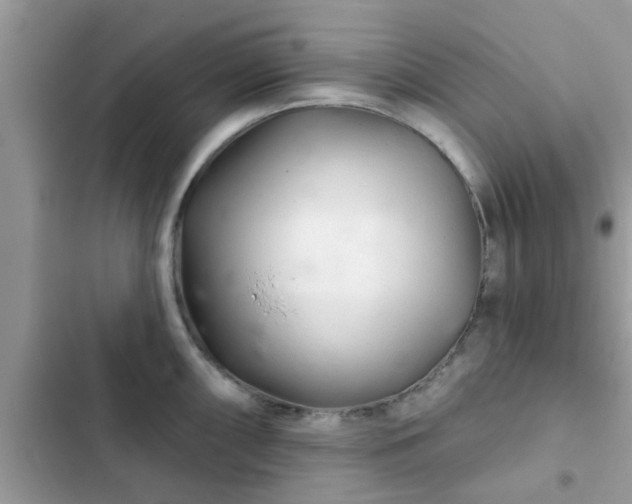 X0000102541098200808151637