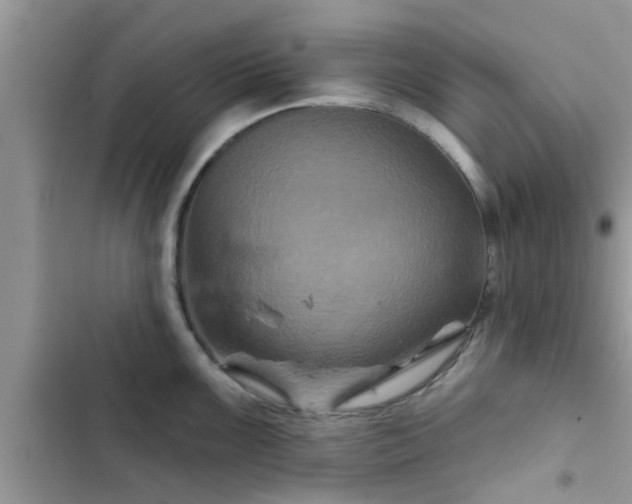 X0000102541099200808151637