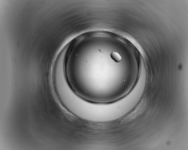 X0000102541101200808151637