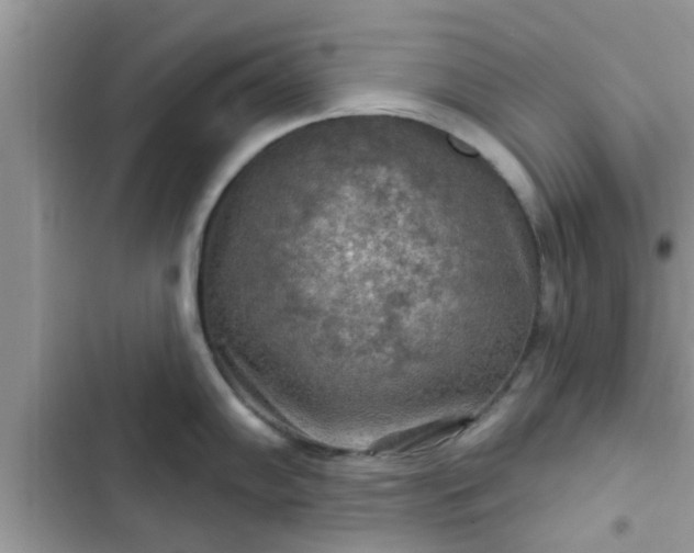 X0000102541102200808151637