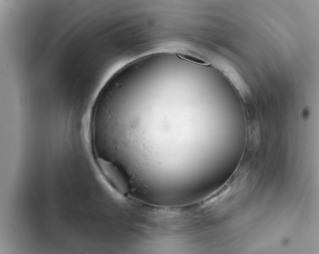 X0000102541103200808151637