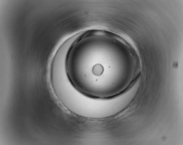 X0000102541104200808151637