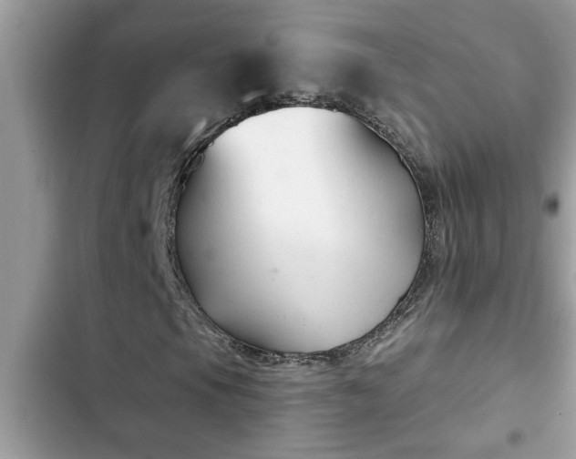 X0000102541105200808151636