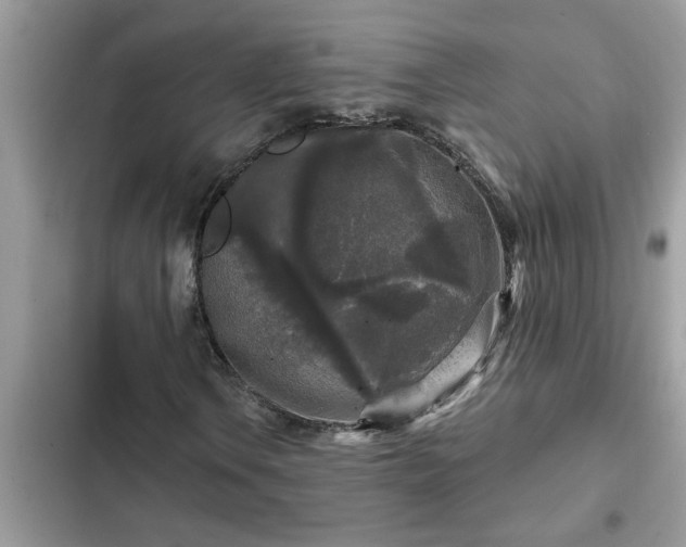X0000102541106200808151636