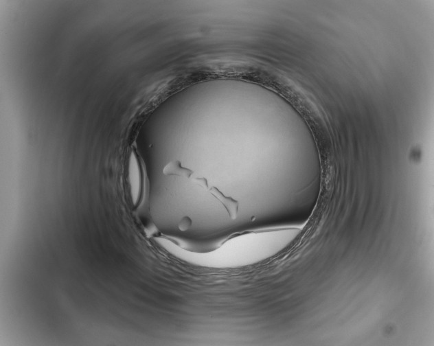 X0000102541108200808151636