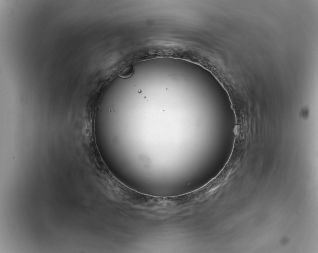 X0000102541109200808151636