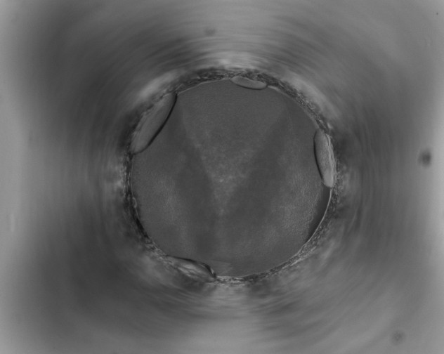 X0000102541110200808151636