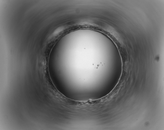 X0000102541111200808151636