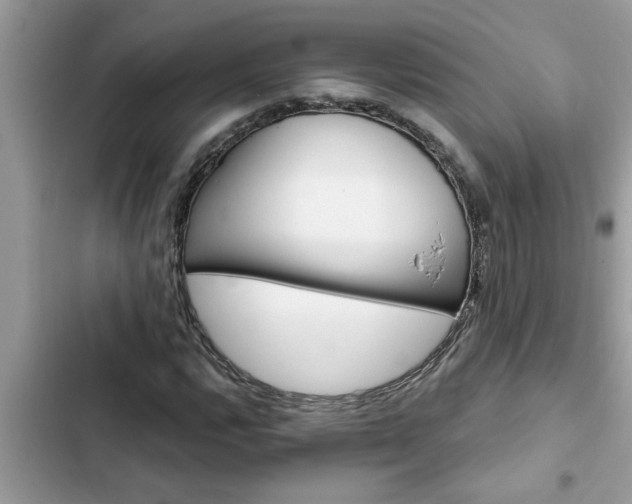 X0000102541112200808151636
