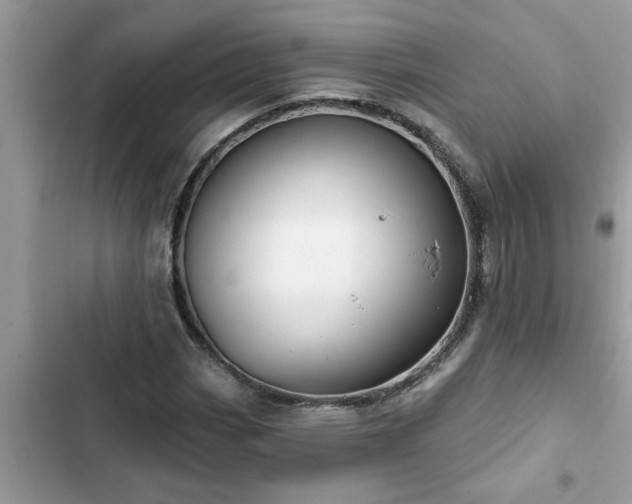 X0000102541113200808151636
