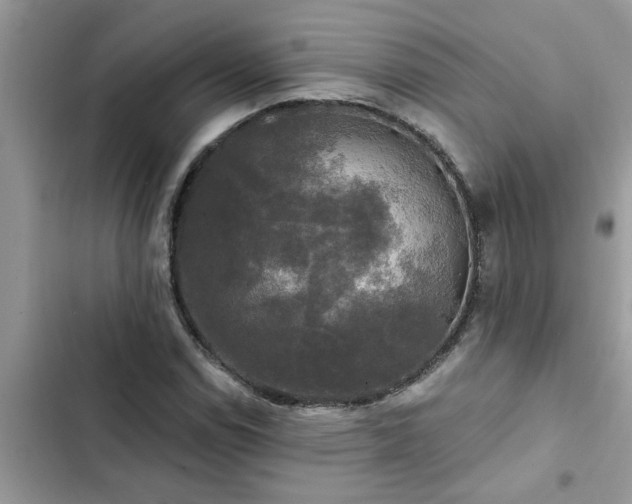 X0000102541114200808151636