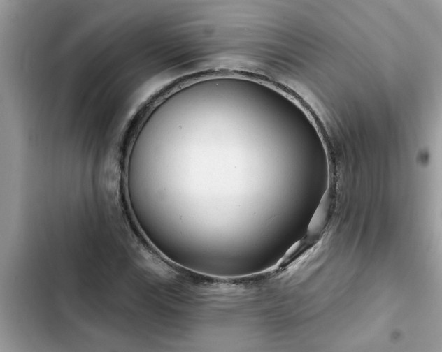 X0000102541115200808151636
