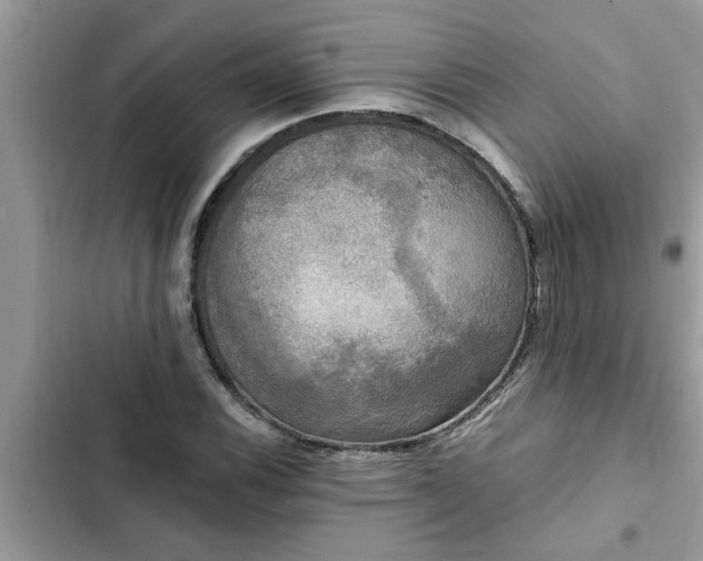 X0000102541116200808151636