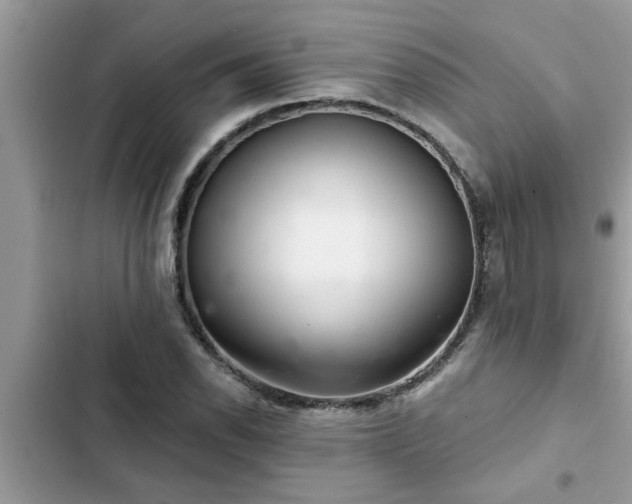 X0000102541118200808151636