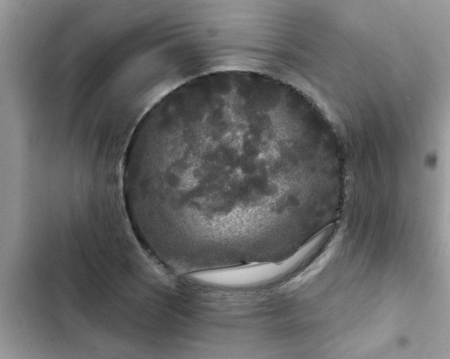 X0000102541121200808151636