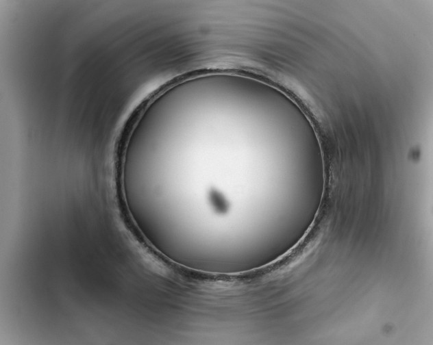 X0000102541122200808151636