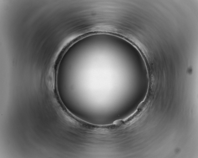 X0000102541123200808151636