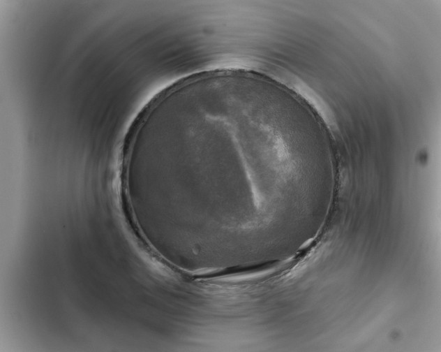 X0000102541124200808151636
