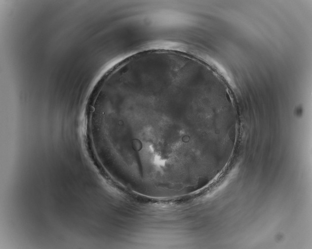 X0000102541125200808151636