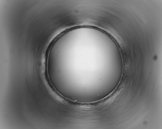 X0000102541126200808151636