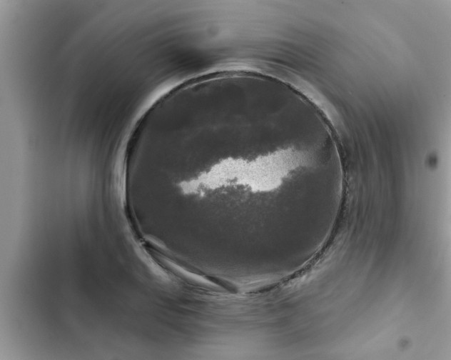 X0000102541127200808151636