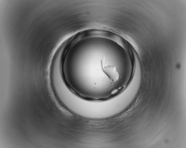 X0000102541128200808151636