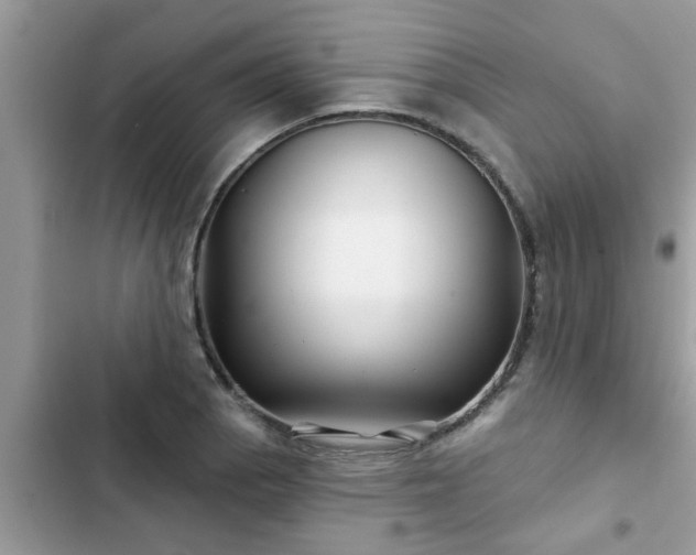 X0000102541129200808151636