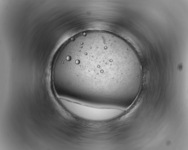 X0000102541130200808151636