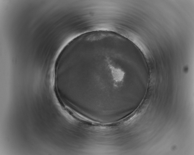 X0000102541132200808151636