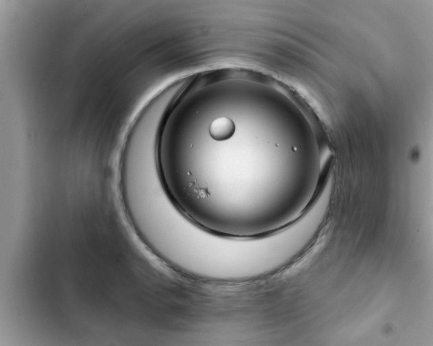 X0000102541134200808151636
