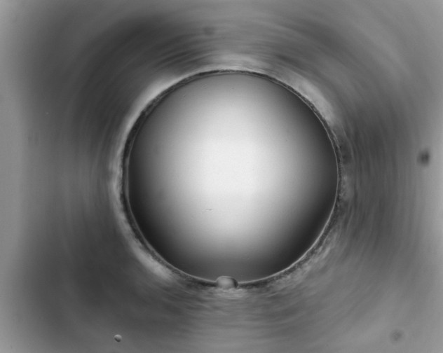 X0000102541136200808151636