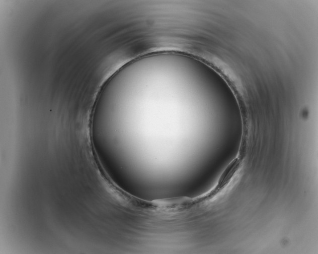 X0000102541137200808151636