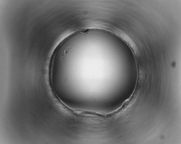 X0000102541138200808151637