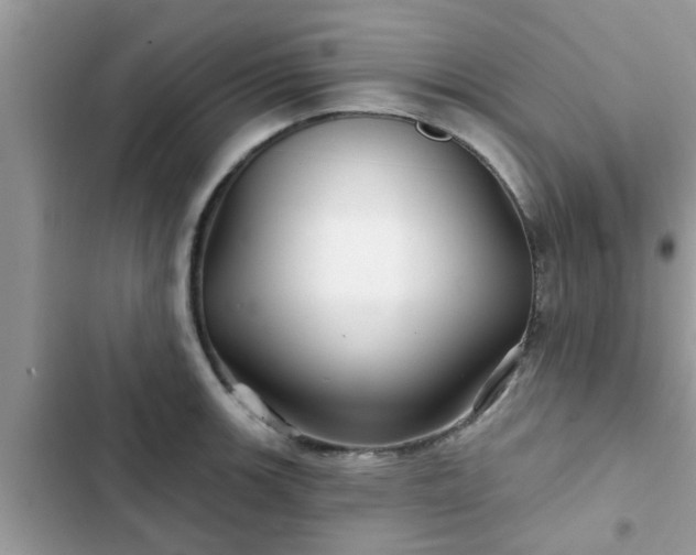 X0000102541139200808151637