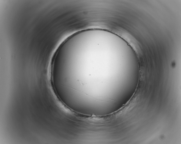 X0000102541140200808151637