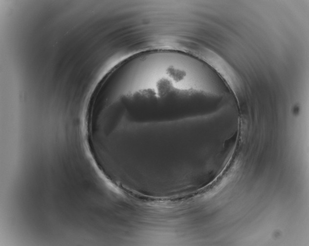 X0000102541141200808151637
