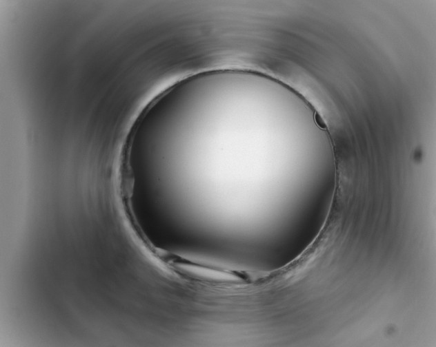 X0000102541142200808151637