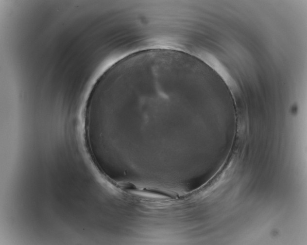 X0000102541144200808151637